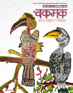 Cover of Chakmak